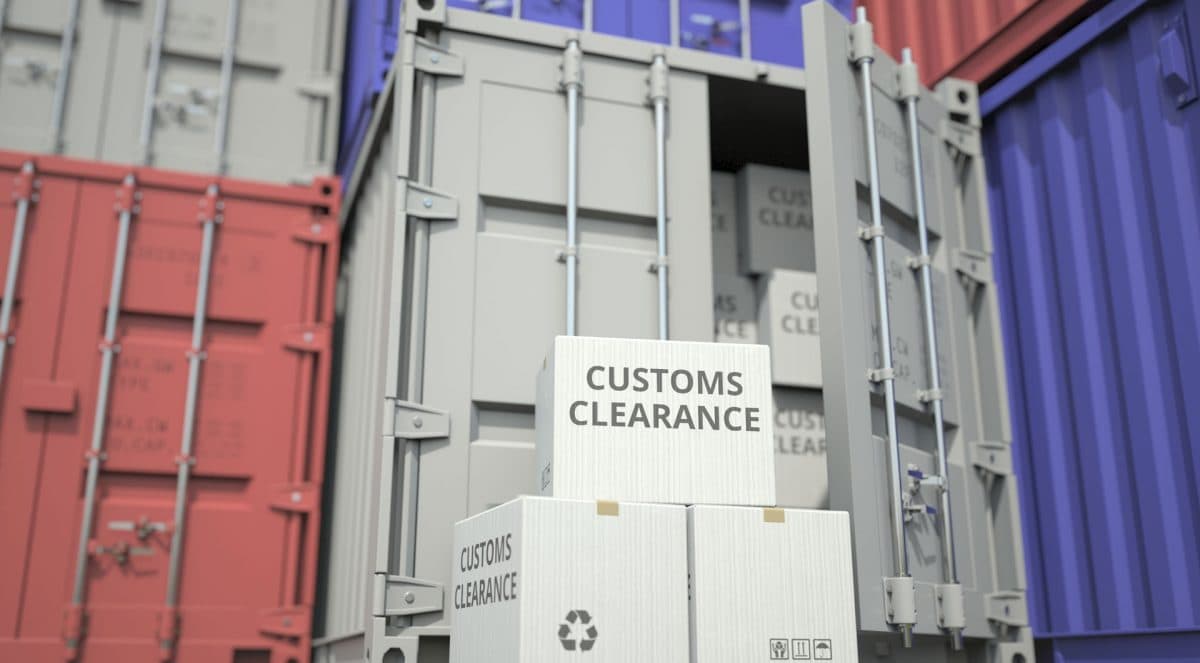 A customs officer inspecting documents with a cargo container in the background.